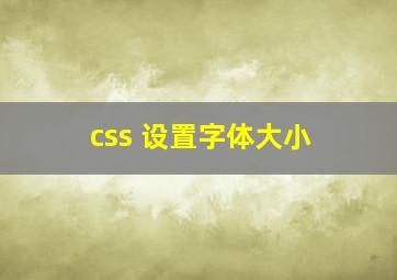 css 设置字体大小